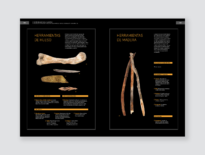 Paleolítico y Neolítico. Los orígenes de la cocina - Libro Historia Bullipedia