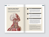 Qué es cocinar. La acción: cocinar. El resultado: cocina. Bullipedia. Ferran Adrià. elBulli, Enciclopedia gastronómica